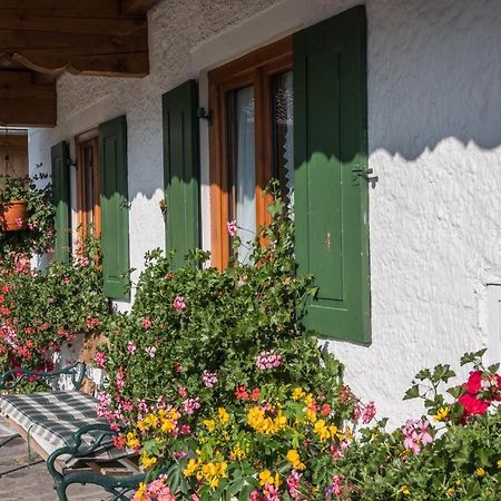 גראינאו Ferienwohnung Zugspitze מראה חיצוני תמונה