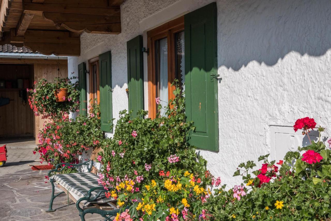 גראינאו Ferienwohnung Zugspitze מראה חיצוני תמונה